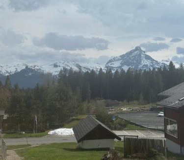 Mitloedi Apartment | Ferienwohnung Arvenbüel Bergtraum über Amden
