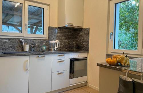 Alvaneu Apartment | Ferienwohnung auf Ziegenhof