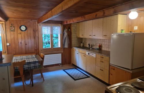 Oberhasli Apartment | Ferienwohnung Berner Oberland - Guttannen