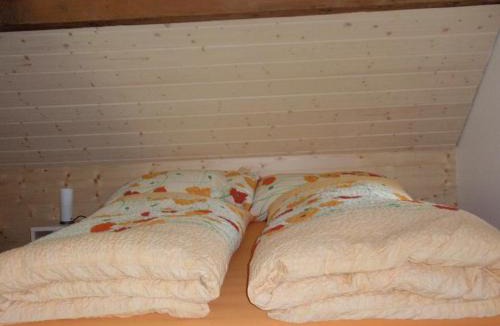 Weissbad Apartment | Ferienwohnung Brülisauer
