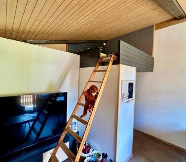 Alpthal Apartment | Ferienwohnung Brunni-Lodge direkt im Skigebiet