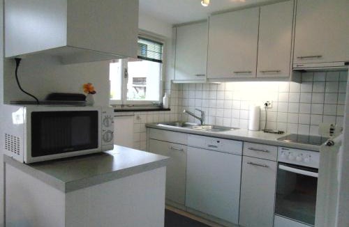Sedrun Apartment | Ferienwohnung Casa Plauns-iu