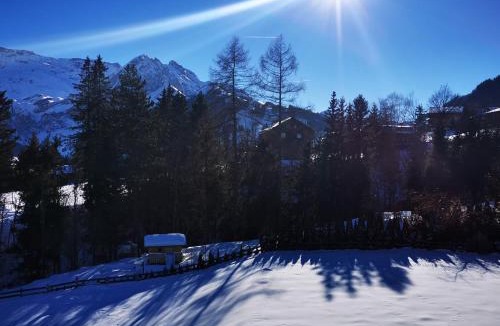 Adelboden Apartment | Ferienwohnung Crea