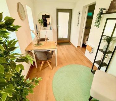 Berlingen Apartment | Ferienwohnung direkt am Bodensee/Untersee nahe Konstanz