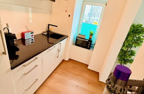 Gerolfingen Apartment | Ferienwohnung Direkt am Bodensee/Untersee Nahe Konstanz