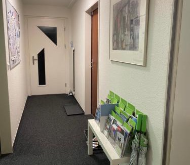 Silenen Apartment | Ferienwohnung Efibach 41