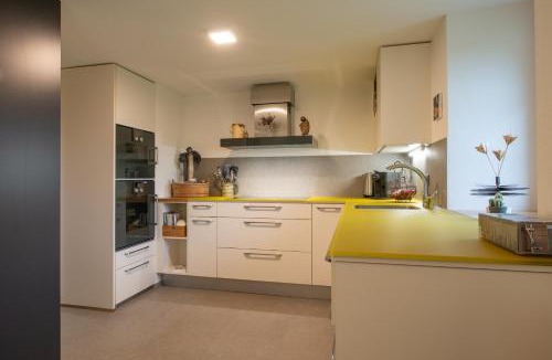 Obergesteln Apartment | Ferienwohnung Gabschi