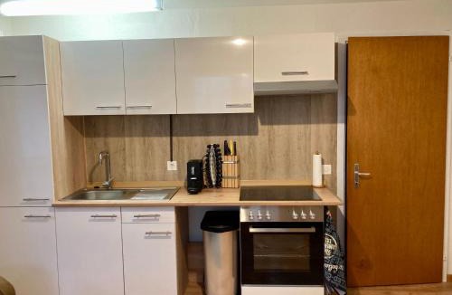 Wildhaus Apartment | Ferienwohnung Haus am Bach in Toggenburg