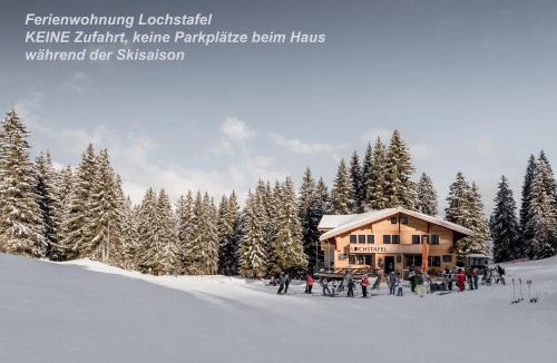 Saanenmoeser Apartment | Ferienwohnung Lochstafel