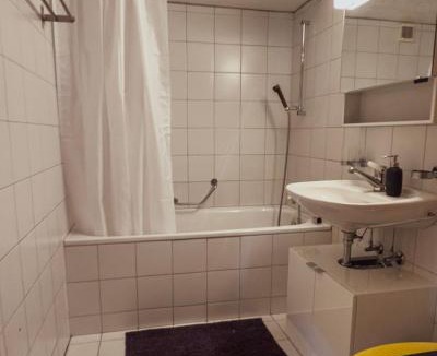 Lenk Apartment | Ferienwohnung Metsch