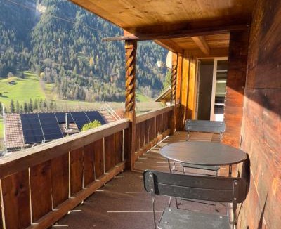 Lenk Apartment | Ferienwohnung Metsch