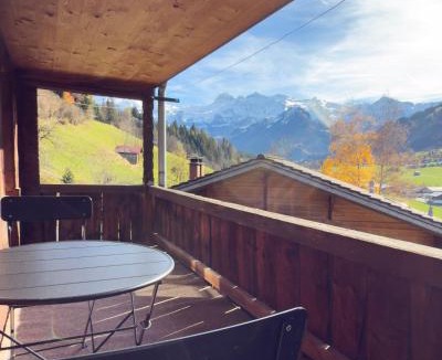 Lenk Apartment | Ferienwohnung Metsch