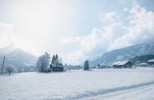 Frutigen Apartment | Ferienwohnung mit Balkon nahe Interlaken & Adelboden