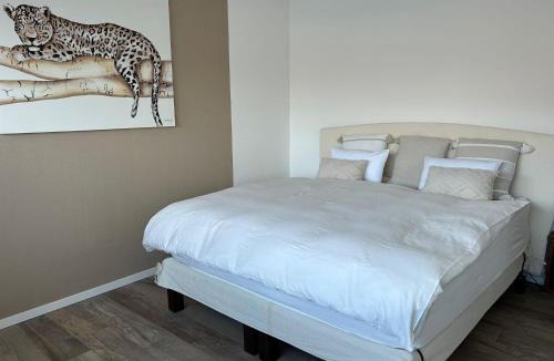Vairano Apartment | Ferienwohnung mit Traumaussicht
