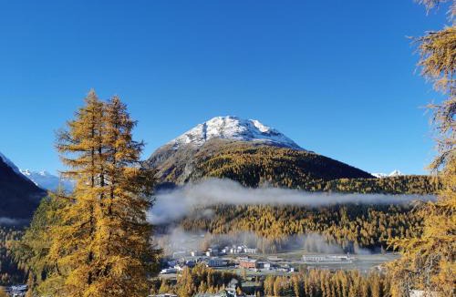 Pontresina Apartment | Ferienwohnung Pontresina - Chesa Andrea - Gartensitzplatz