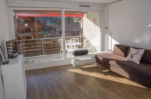 Adelboden Apartment | Ferienwohnung Studio Selvea