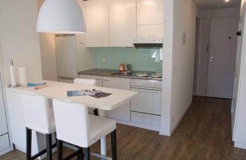 Adelboden Apartment | Ferienwohnung Studio Selvea