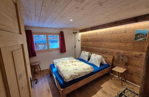 Sedrun Apartment | Ferienwohnung Tgèsa Stefania