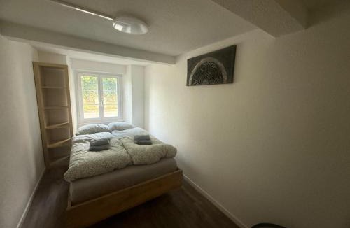Wimmis Apartment | Ferienwohnung Winterzeit EG - Interlaken Thun Spiez Kandersteg