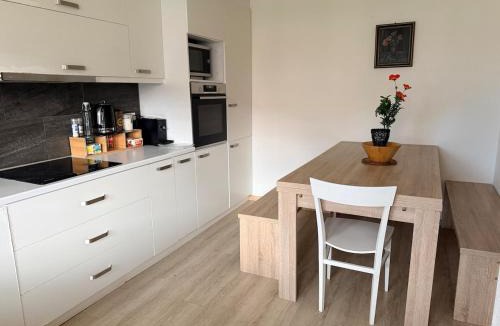 Thun Apartment | Ferienwohnung Winterzeit Thunersee&Mountainview