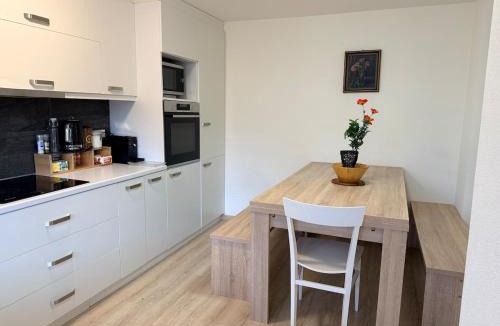 Thun Apartment | Ferienwohnung Winterzeit Thunersee&Mountainview