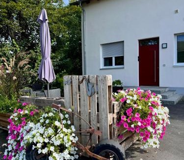 Segnitz Apartment | Ferienwohnungen Frank