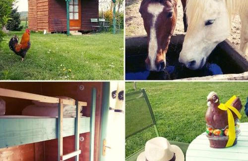 Penol Other | Ferme équestre Les Chevaliers