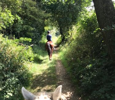 Beaurevoir Bed & Breakfast | Ferme de Genève