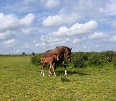 Dury Bed & Breakfast | Ferme de l'Abbaye