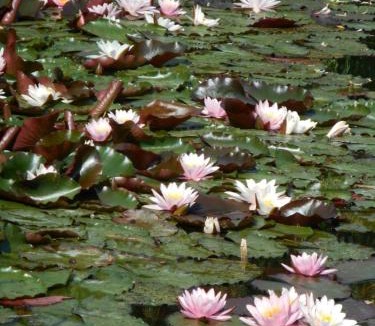 Gouvieux Bed & Breakfast | Ferme De La Canardière