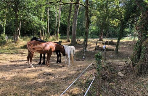 Le Val-d'Esnoms Hotel | Ferme de la Dhuys