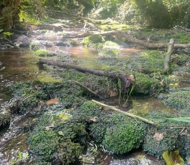 Le Val-d'Esnoms Hotel | Ferme de la Dhuys