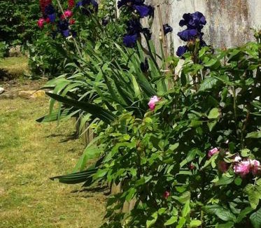 LHoumeau Bed & Breakfast | Ferme de Maillezais