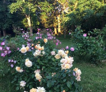 LHoumeau Bed & Breakfast | Ferme de Maillezais