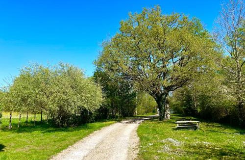 La Ferte-Saint-Cyr Bed & Breakfast | Ferme de Marpalu
