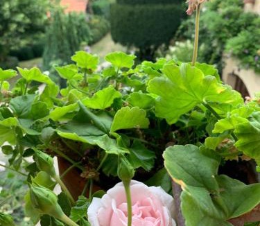 Les Eyzies House | Ferme de Tayac - Charme avec Pool