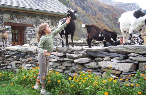 Gedre House | Ferme de Trabés *