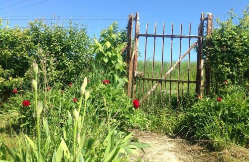 Rozoy-sur-Serre House | Ferme de Wichery, Gite 2-6 pers.