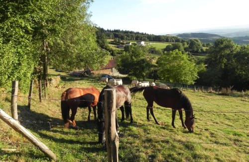 Mardore House | Ferme des Entremains