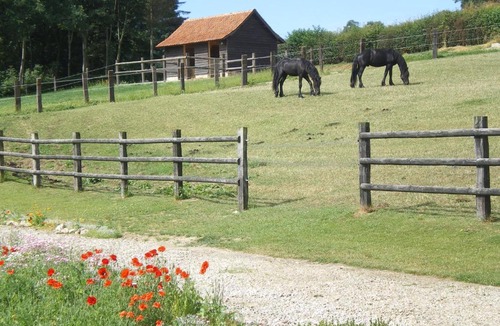 Bezinghem Bed & Breakfast | Ferme des tilleuls