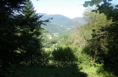 Lautenbachzell Bed & Breakfast | Ferme du Mouton Noir