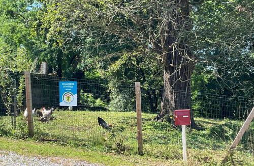 Heugas Bed & Breakfast | Ferme du Peyronin