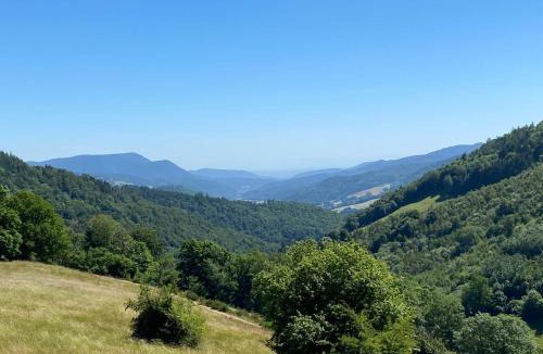 Sainte-Marie-aux-Mines House | Ferme du Val de Bruinen