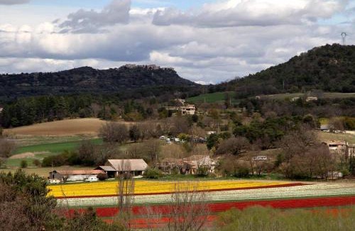 Lurs House | Ferme Equestre Les Coccinelles