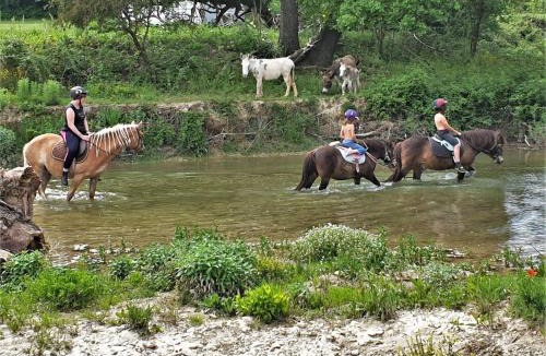 Lurs House | Ferme Equestre Les Coccinelles
