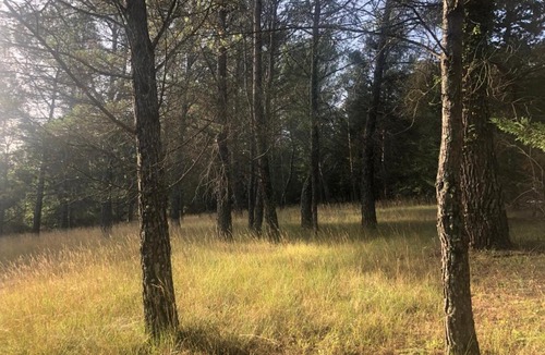 Bargemon Bed & Breakfast | Ferme le Pavillon