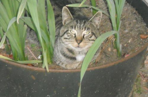 La Belliole Bed & Breakfast | Ferme les Rousseaux