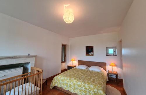 Palluau-sur-Indre House | Ferme rénovée au calme avec internet et grand espace extérieur - FR-1-591-149