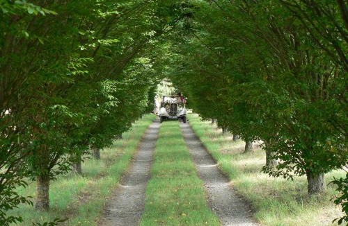 Le Fousseret Bed & Breakfast | Ferme Saint Joseph