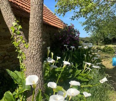 Plounevez-Lochrist House | fermette